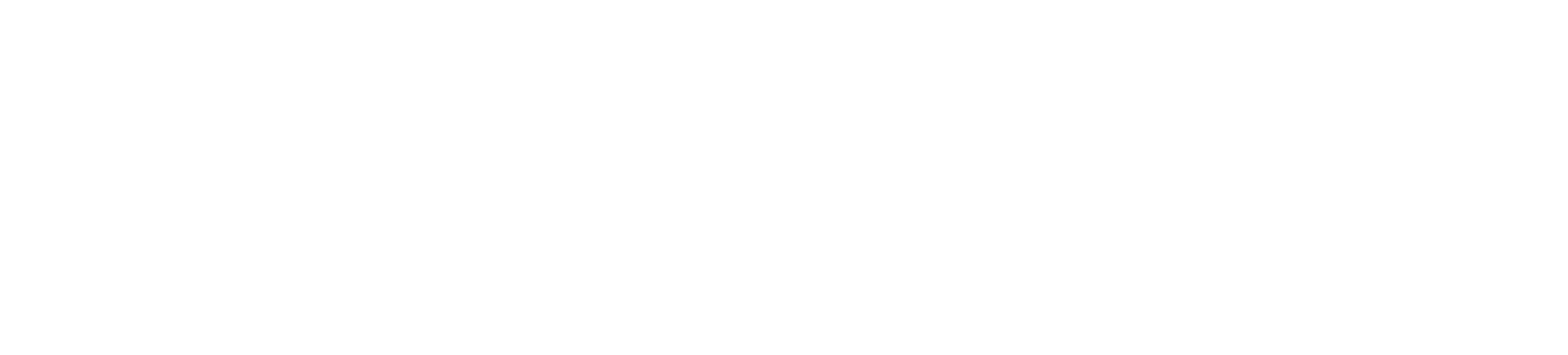 StretchDelight Logo